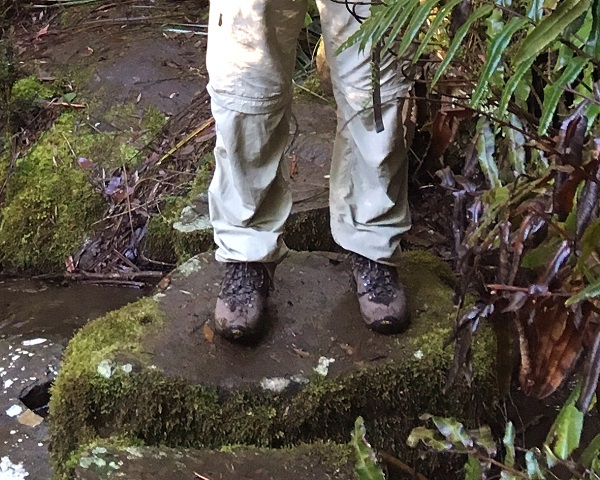 Shoes for your Tasmanian Iconic Walk – Tasman Arch to Fortescue Bay