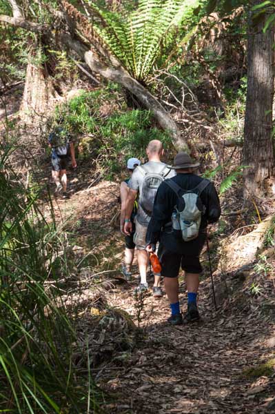 hike preparation and training is key with tasmanian iconic walks in hobart