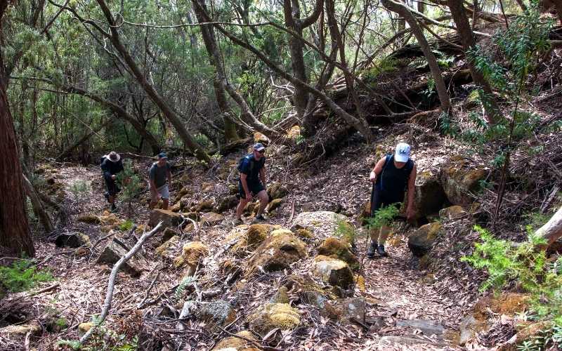 hiking hills from a short persons perspective at tasmanian iconic walks in Hobart