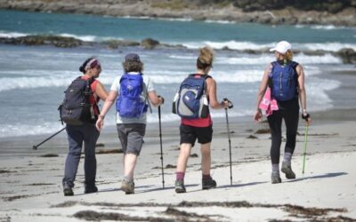 Hobart Bushwalks to Help Prepare for Hike Day