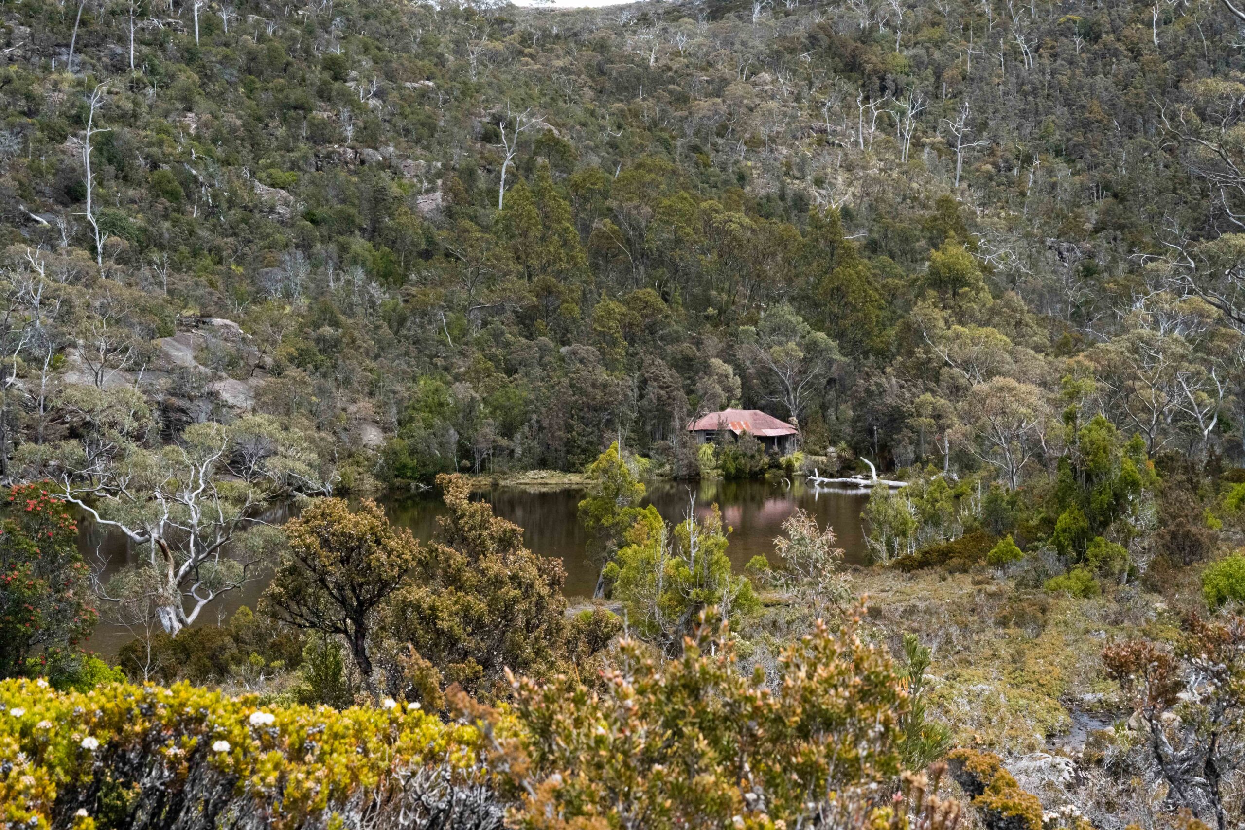 2020 tasmania hikes with Tasmanian Iconic Walks