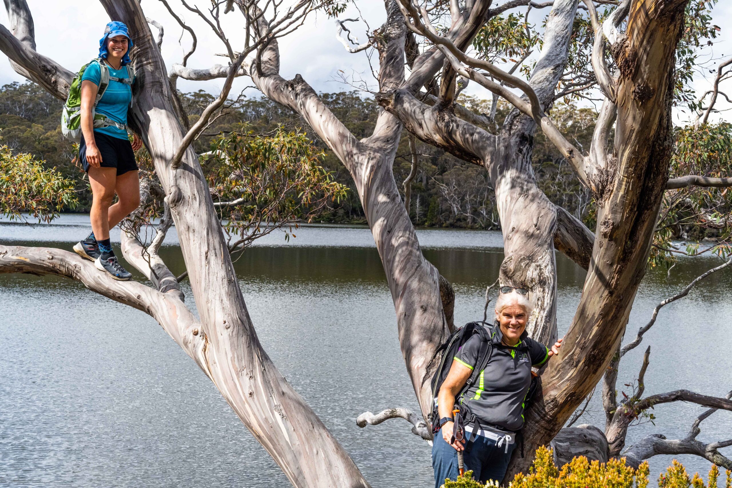 B&J in tree Lake Dobson Tarn Shelf