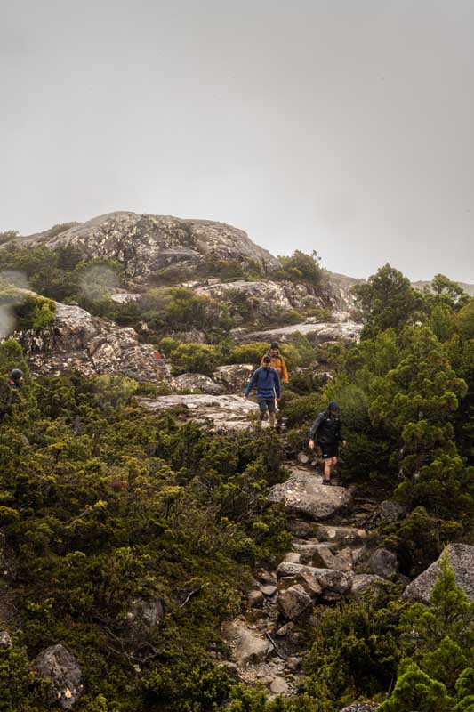 bushwalking tasmania at tarn shelf circuit with tasmanian iconic walks