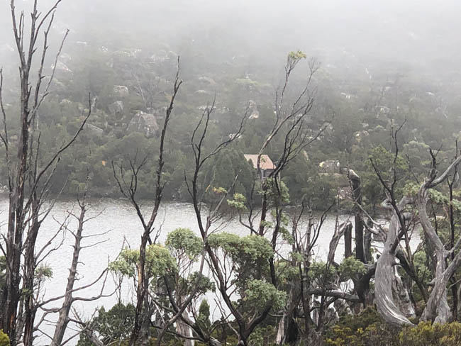 hike tasmania at tarn shelf circuit mount field national park with tasmanian iconic walks