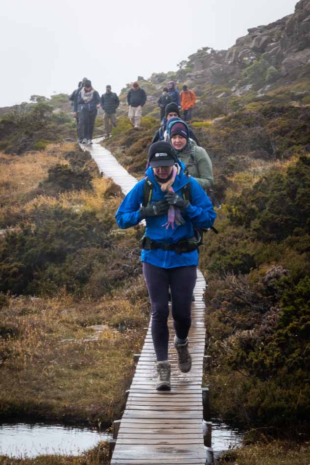 hobart hikes at tarn shelf mount field national park with tasmanian iconic walks