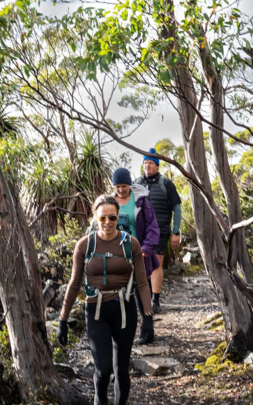 tarn shelf circuit track notes for mount field national park with tasmanian iconic walks