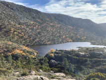 tarn shelf circuit track notes at tasmanian iconic walks