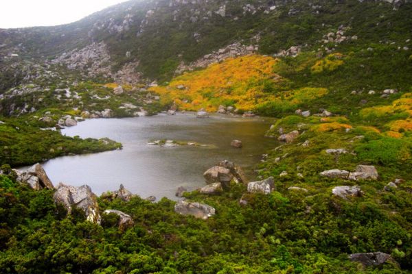 tarn shelf tasmania hiking event with tasmanian iconic walks