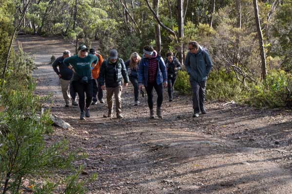 training for our hiking n tasmania event with tasmanian iconic walks at mount field national park